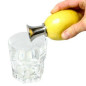 EXTRACTEUR DE JUS DE CITRON