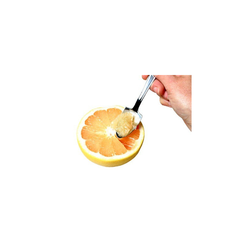 CUILLERE A PAMPLEMOUSSE INOX
