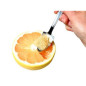 CUILLERE A PAMPLEMOUSSE INOX