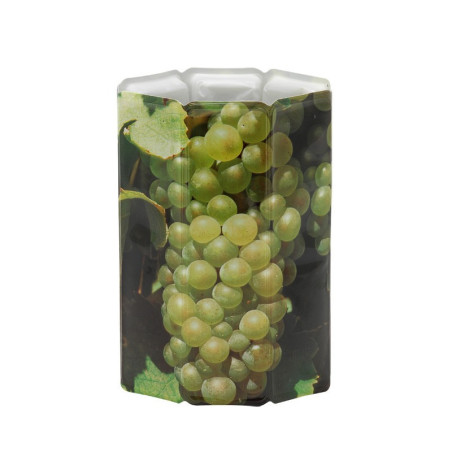 RAPID ICE RAISIN VACUVIN